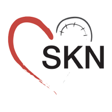 logo skn